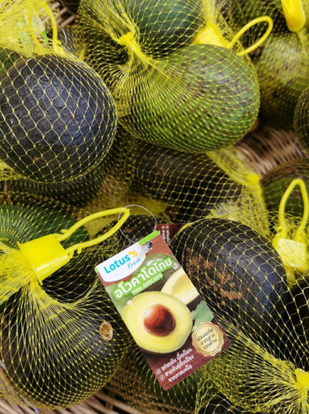Avokado Thai dalam jaring, dibungkus untuk runcit