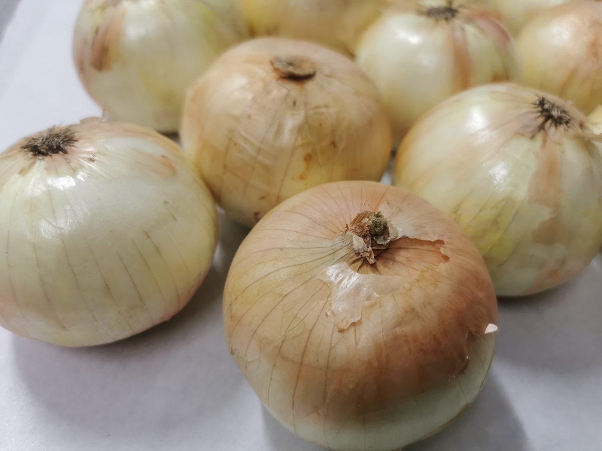 Bawang besar penuh dengan kulitnya