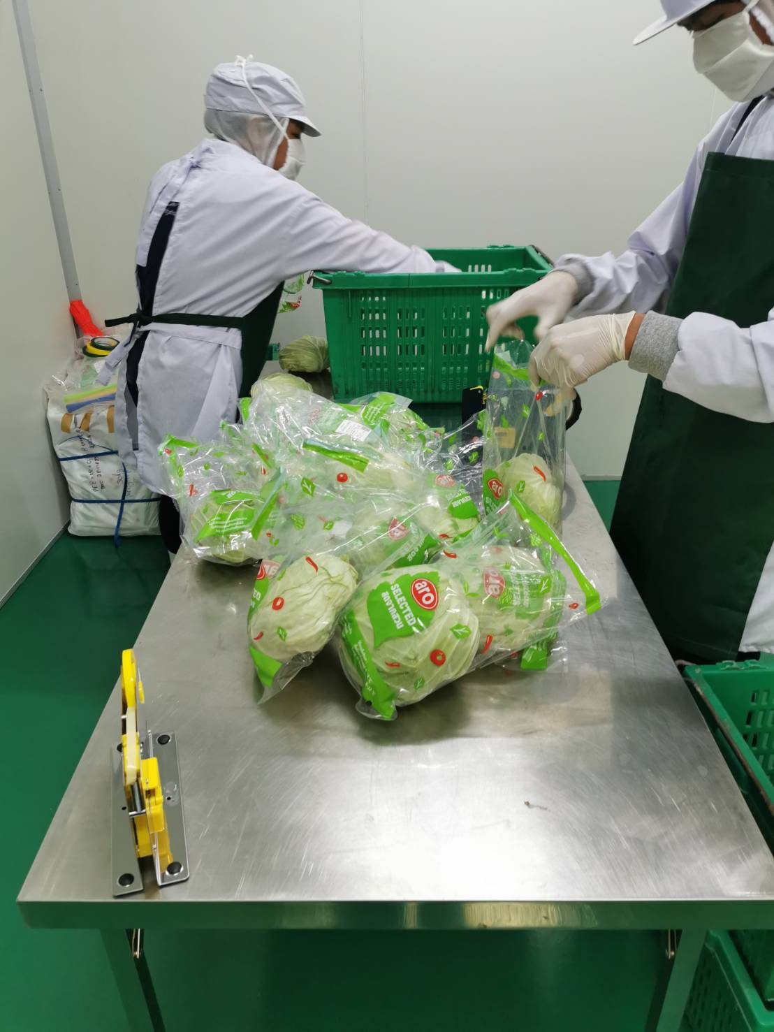 Kubis napa yang dibungkus sedia dimasukkan ke dalam bekas
