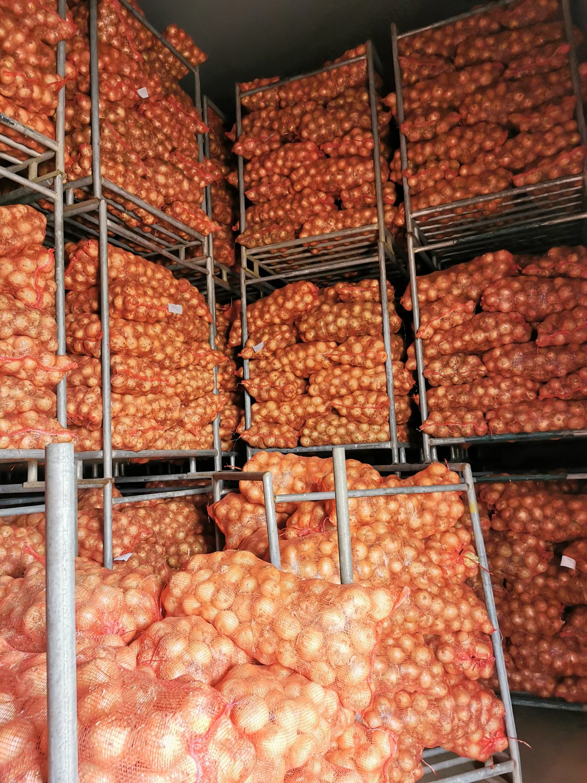 Net bags of onion stacked on racks in the store room