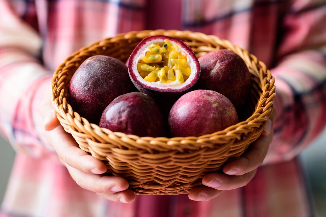 Buah markisa segar dalam bakul, satu dibelah