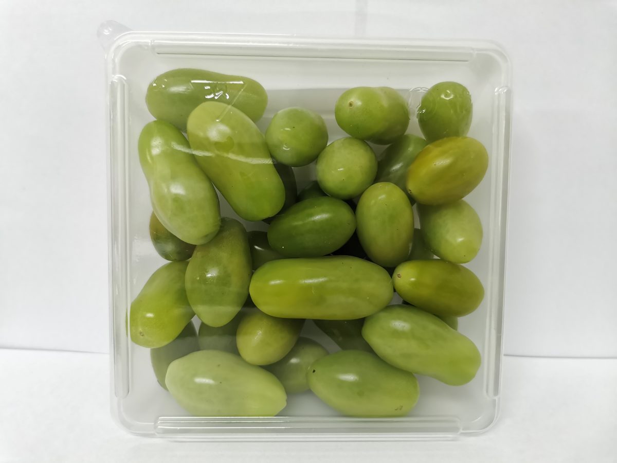 มะเขือเทศเชอร์รี่สีเขียวในกล่องใส