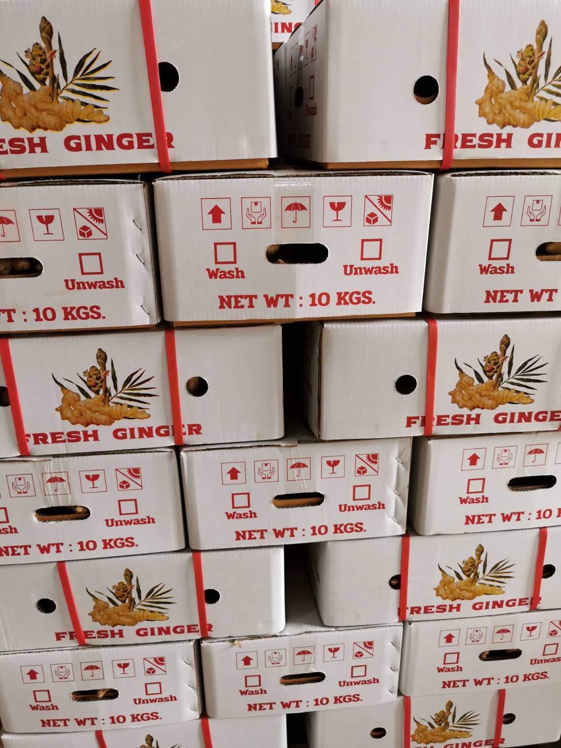 Export cartons printed FRESH GINGER, net weight 10 kg