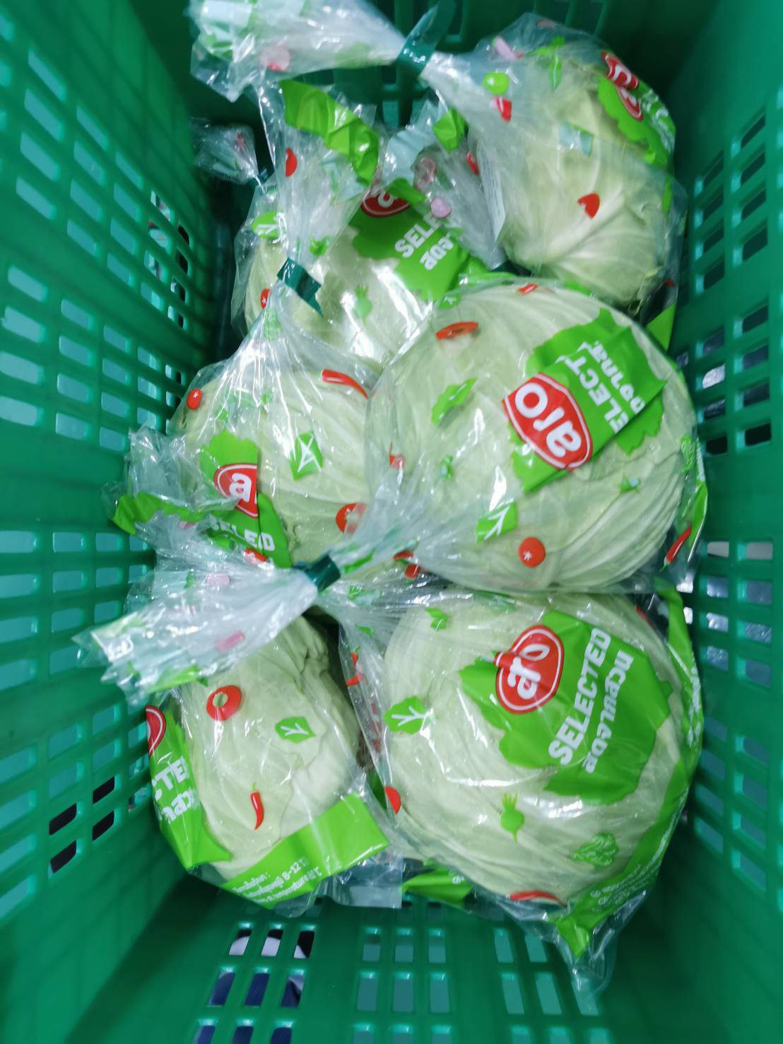 Kubis yang dibungkus dalam bekas, sedia untuk pengedaran