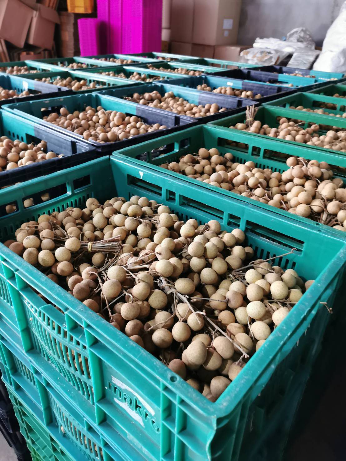 Longan segar dalam bekas